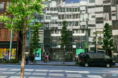 銀座～新橋スナップ1