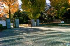 新宿御苑の紅葉1