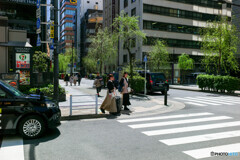 銀座～新橋スナップ5