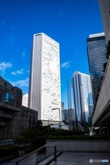 新宿　高層ビル4