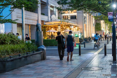 夜の散歩2