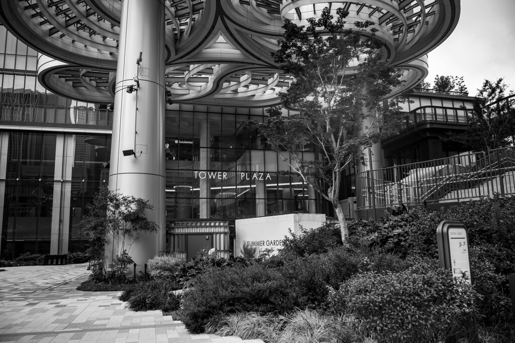 麻布台ヒルズ　スナップ8