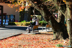 新宿御苑の紅葉4