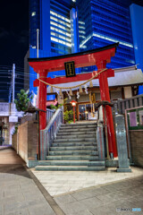 夜の汐留 スナップ12