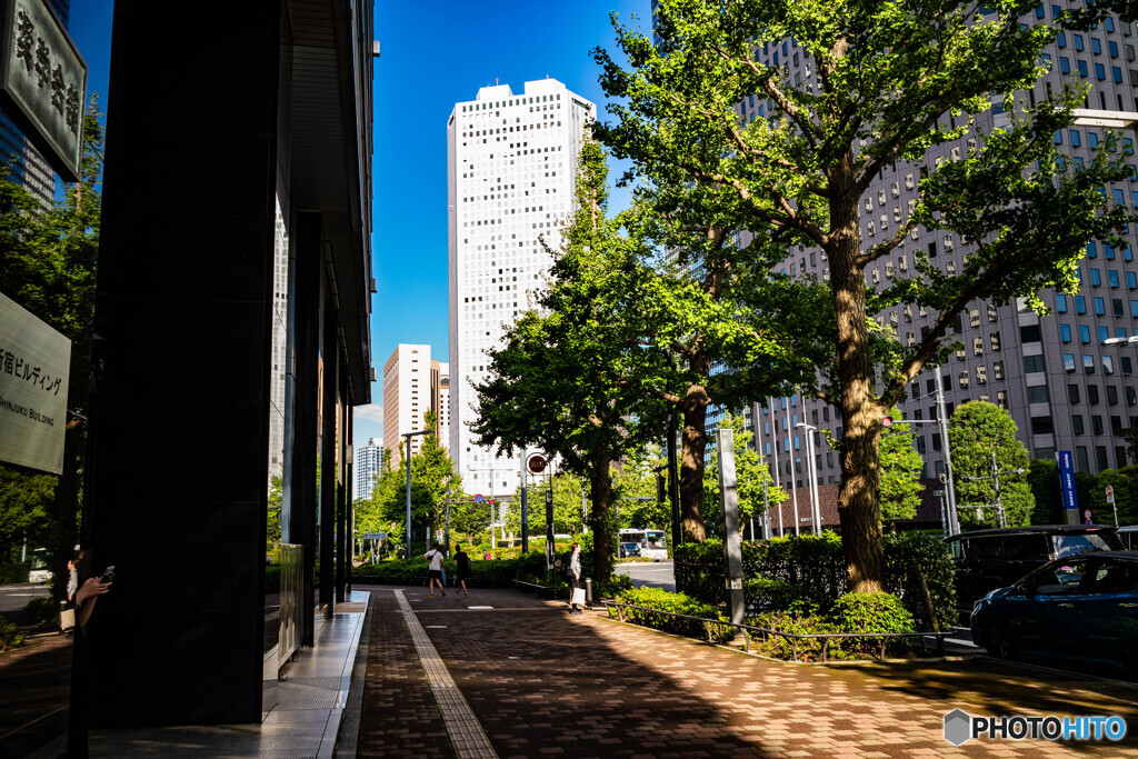新宿　高層ビル2