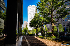 新宿　高層ビル2