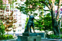 渋谷スナップ 1