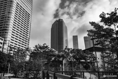 麻布台ヒルズ　スナップ5