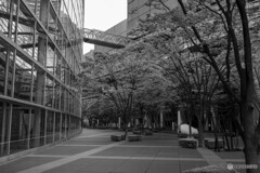 東京国際フォーラム ガラス棟10