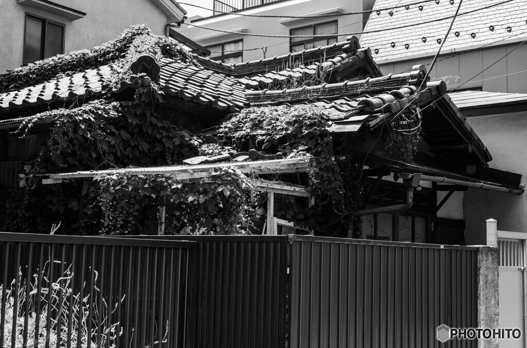 下町スナップ27