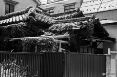 下町スナップ27