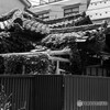 下町スナップ27