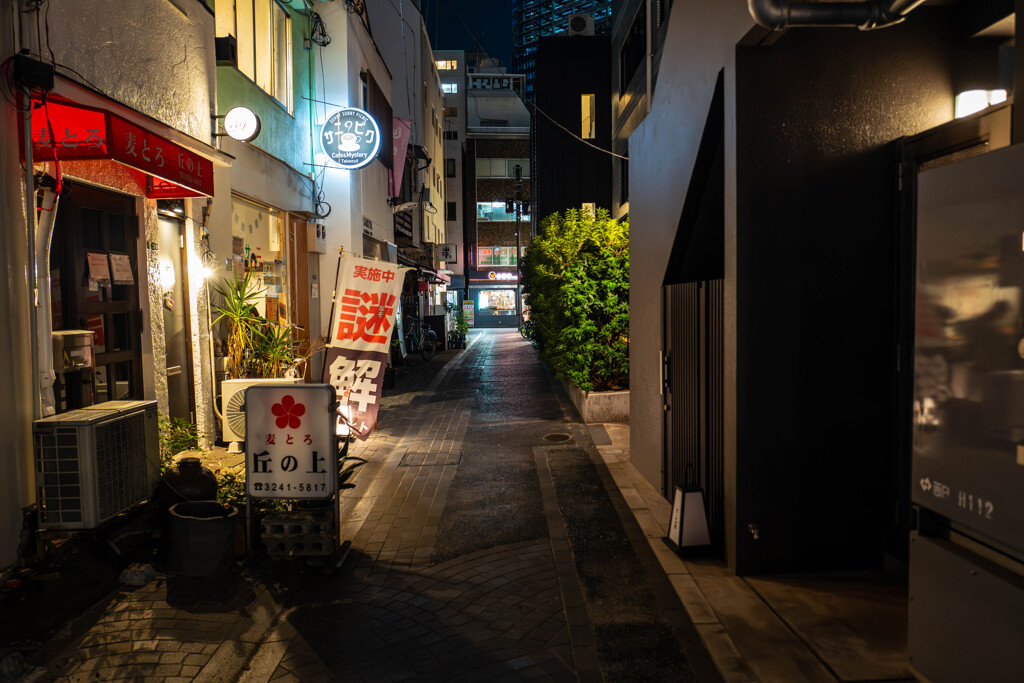 夜の人形町～日本橋28