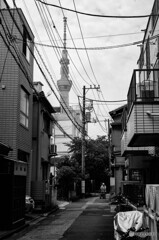 下町スナップ71