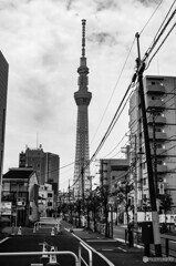 下町スナップ72