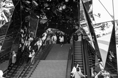 渋谷～原宿29