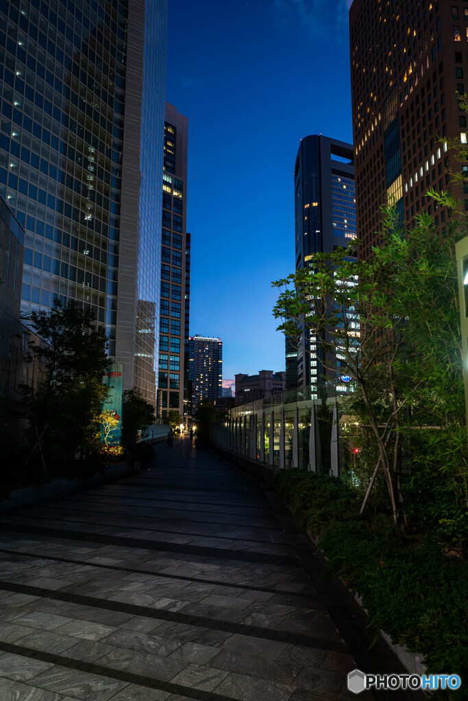 夜の汐留 スナップ7