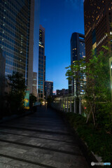 夜の汐留 スナップ7