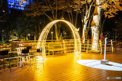 新宿のイルミネーション9