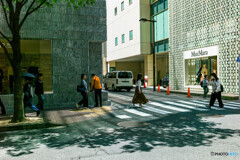 銀座～新橋スナップ11