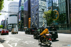 銀座～新橋スナップ17
