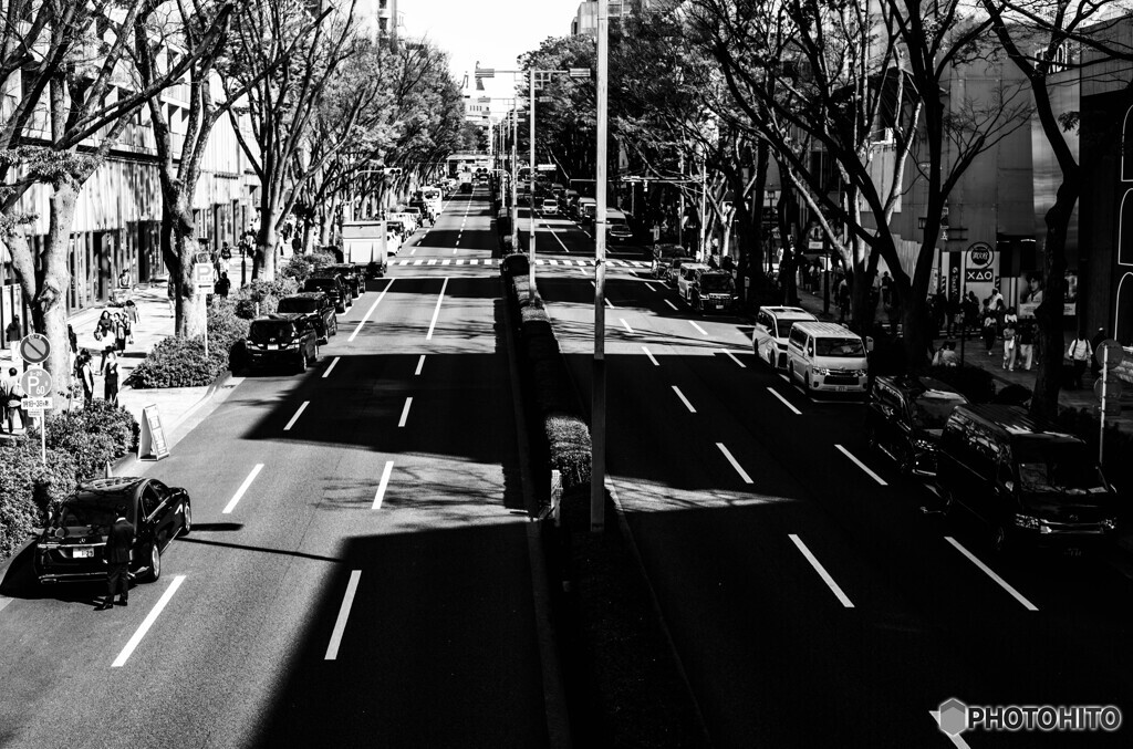 表参道スナップ26
