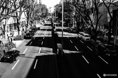 表参道スナップ26