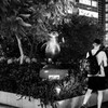 モノクロで撮る夜のスナップ17
