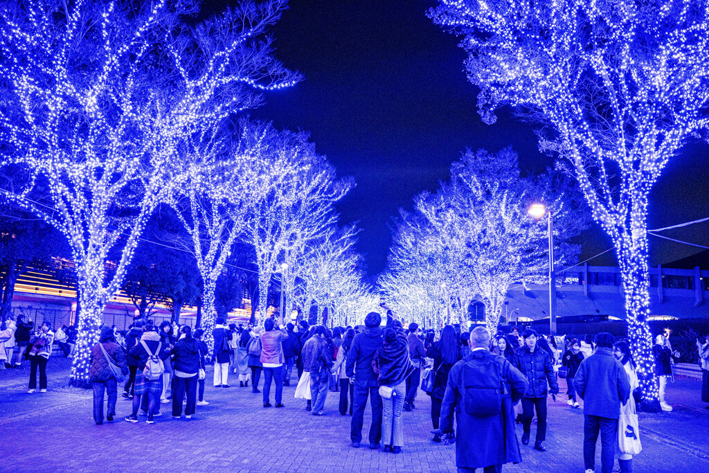 渋谷　青の洞窟9