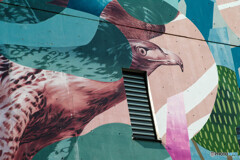 ウォールアート？（高円寺駅周辺）5