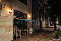 夜の汐留 スナップ19