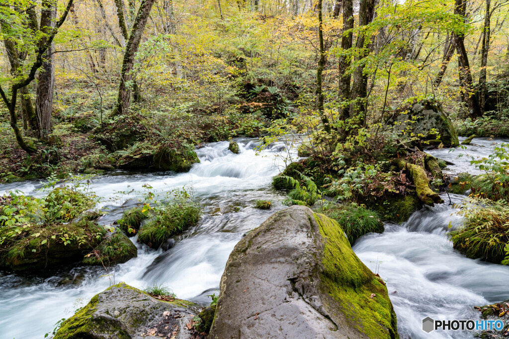 過去の写真から4（奥入瀬川）