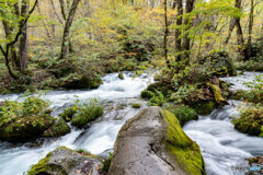 過去の写真から4(奥入瀬川) 過去の写真から4(奥入瀬川)