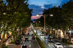 夜の散歩16