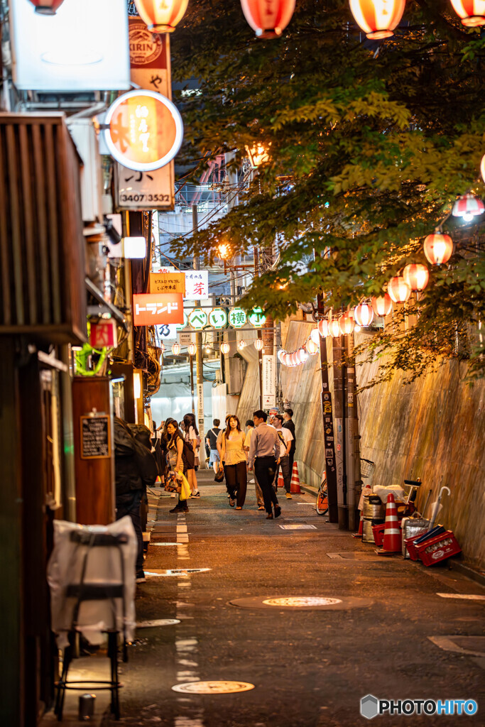 夜の散歩50