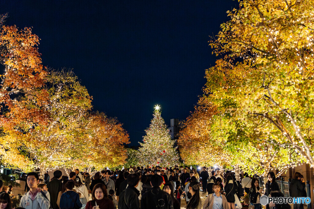 恵比寿ガーデンプレイスでスナップ12
