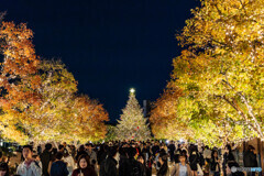 恵比寿ガーデンプレイスでスナップ12