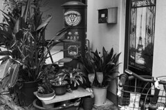 下町スナップ114