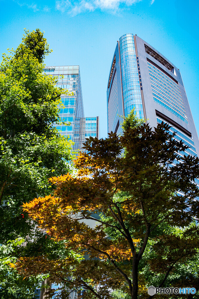 汐留のイタリア街20