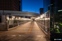 夜の汐留 スナップ9