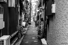 谷根千スナップ18