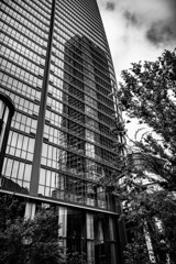 麻布台ヒルズ　スナップ10