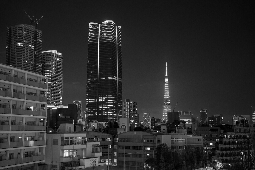 六本木スナップ12