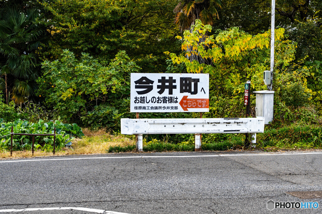 奈良＆京都旅行7