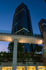 夜の汐留 スナップ5