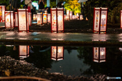 夜の散歩130