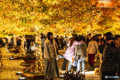 恵比寿ガーデンプレイスでスナップ6