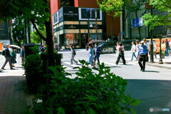 銀座～新橋スナップ16