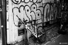 飲み屋街スナップ14