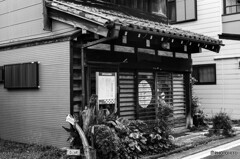 谷根千スナップ5